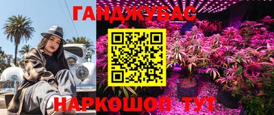гашишное масло Кингисепп