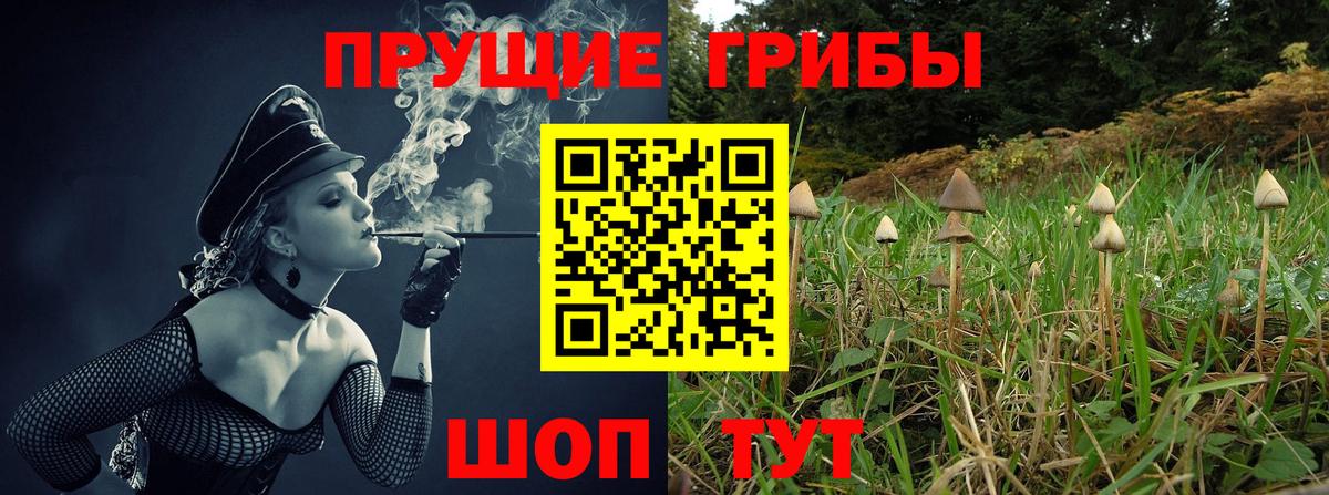 Галлюциногенные грибы мицелий Красноуфимск